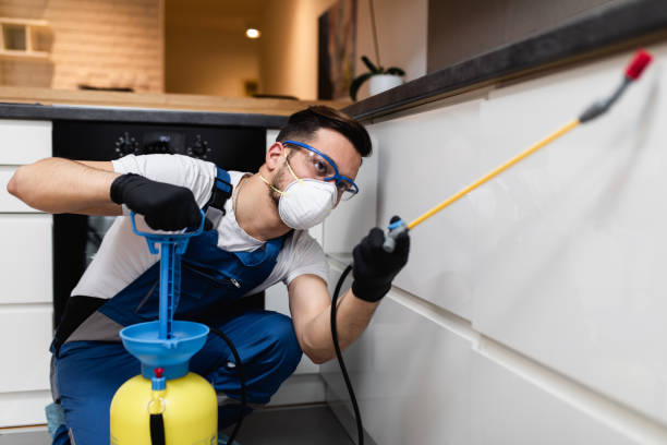 Best Pest Prevention Services  in Alliae, NC