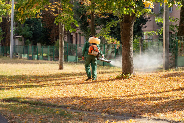 Reliable Alliance, NC Pest Control Solutions