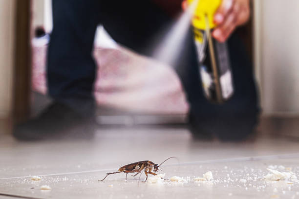 Best Best Pest Control Companies  in Alliae, NC